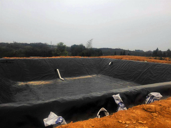 魚塘用HDPE土工膜優缺點對比